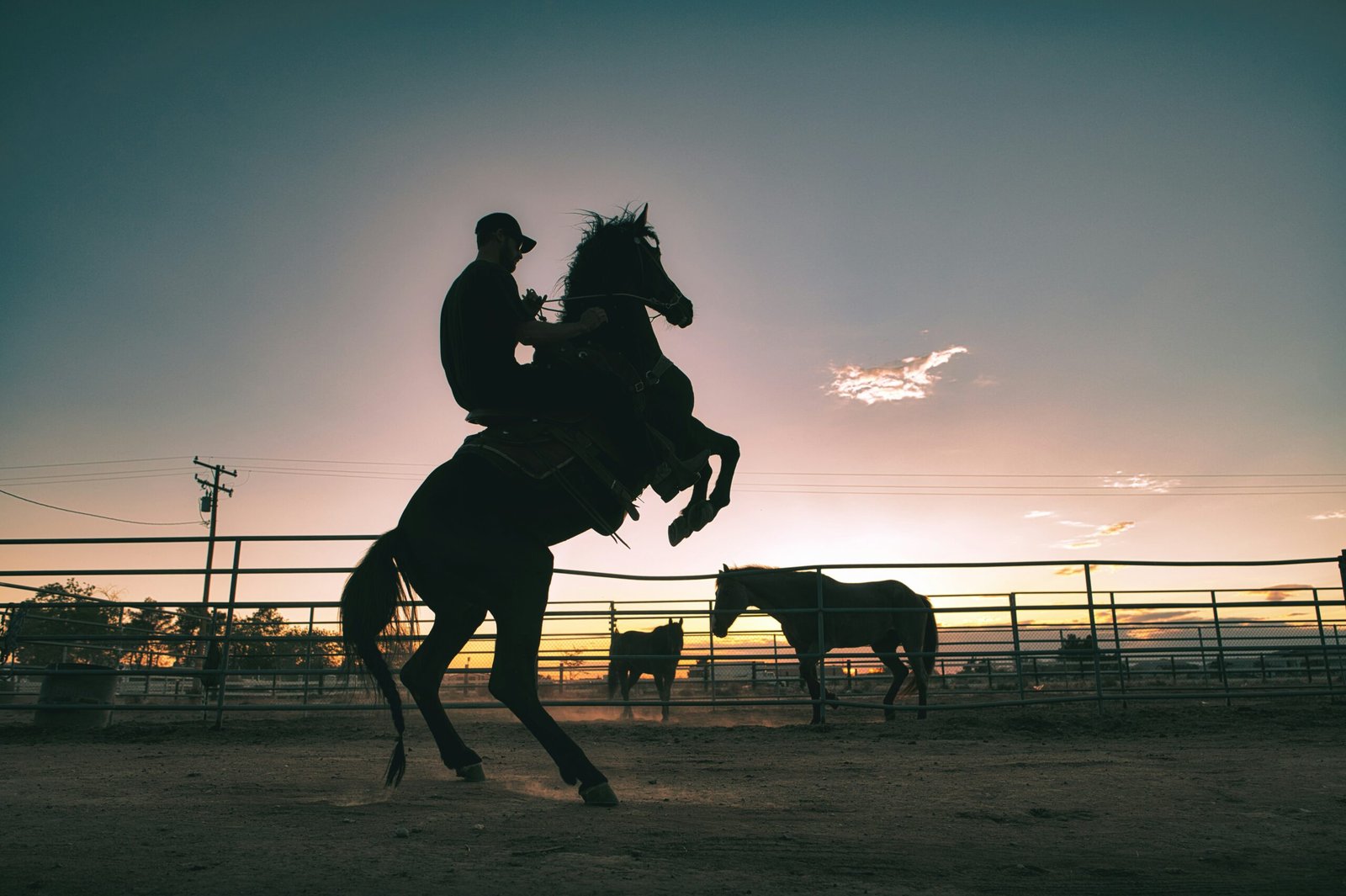 Festival Western de St-Tite - Événement au Québec